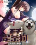 一条叫王子的狗在线看