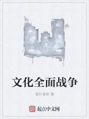 全面战争策略