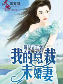 我的总裁未婚妻全集免费