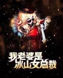 我老婆是冰山女总裁新