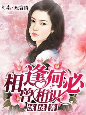 相逢何必曾相识 成语