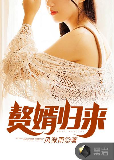 赘婿归来叶峰韩凝冰完结版