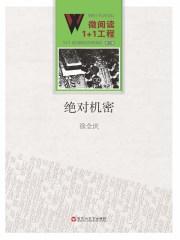 绝对机密免费观看全集