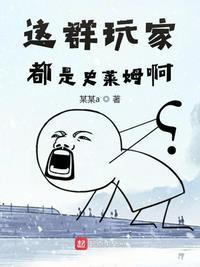 这群玩家都是史莱姆啊阿尔托莉雅