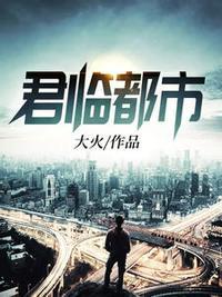 八荒战神陈八荒方静大火