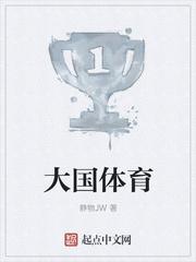大国体育公司排名