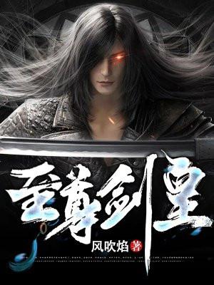至尊剑皇境界详细说明