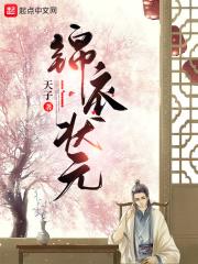 锦衣状元193章