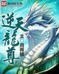 逆天龙尊1-100集