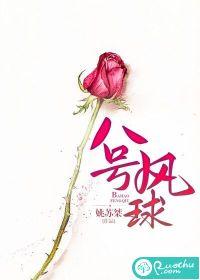 八号风球等于中国几级台风