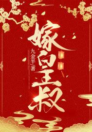 嫁皇叔暗香讲的什么