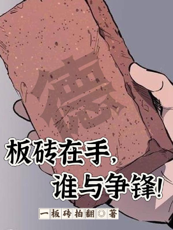 板砖是什么意思