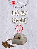 乱世珍宝无防盗