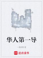华人第一导免费阅读全文