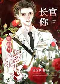 长官你抑制剂掉了夜