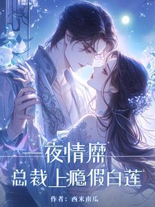 总裁一夜倾情