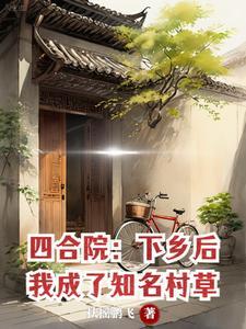 四合院农村