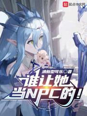 谁让她当NPC的TXT