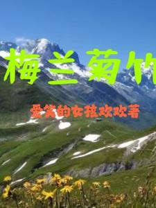 梅兰菊竹酒瓶多少钱
