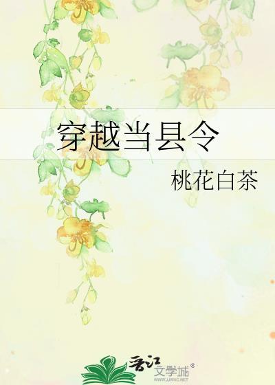 穿越当县令格格党