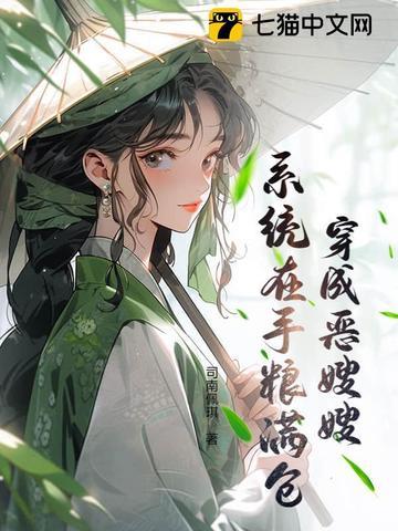 穿成之恶嫂手册