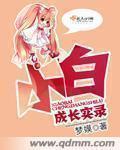 小白成长分0