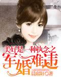 盛世军婚抢来的老公巫山浮云