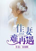 佳妻似宝免费阅读