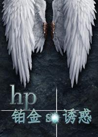 hp铂金se诱惑包书