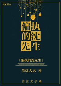 偏执的沈先生实体书