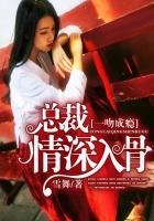 一吻成瘾:总裁,情深入骨
