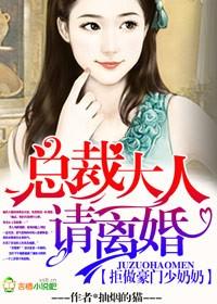 拒做豪门少奶奶,总裁大人请离婚